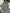 1B Raw Bundles